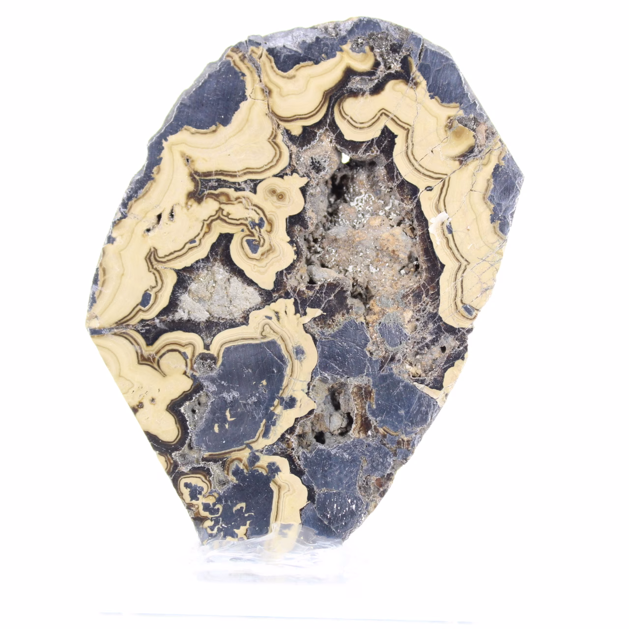 Schalenblende polacca in fetta verticale da 160 g