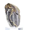 Schalenblende della Polonia, fetta minerale da 230 g - 4