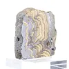 Schalenblende della Polonia con superfici contrastanti su base - 2