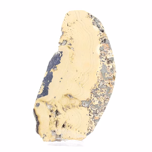 Schalenblende polacca in fetta su piedistallo trasparente