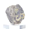 Schalenblende della Polonia, esemplare in fetta da 130 g - 2
