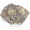 Schalenblende della Polonia, esemplare in fetta da 130 g - 5
