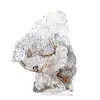 Schalenblende polacca in fetta larga per vetrina - 5