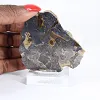 Schalenblende polacca in fetta larga per vetrina - 1