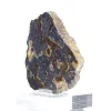 Schalenblende della Polonia in fetta spessa su supporto acrilico - 4