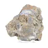 Schalenblende della Polonia in fetta spessa su supporto acrilico - 5