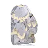 Schalenblende polacca su base, fetta da 240 g - 2
