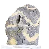 Schalenblende polacca su base, fetta da 240 g - 5