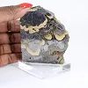 Schalenblende polacca su base, fetta da 240 g - 1