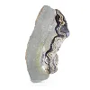 Schalenblende polacca allungata in fetta su base acrilica - 0