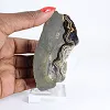 Schalenblende polacca allungata in fetta su base acrilica - 1