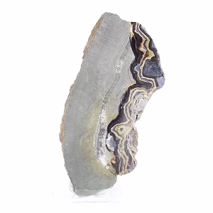 Schalenblende polacca allungata in fetta su base acrilica