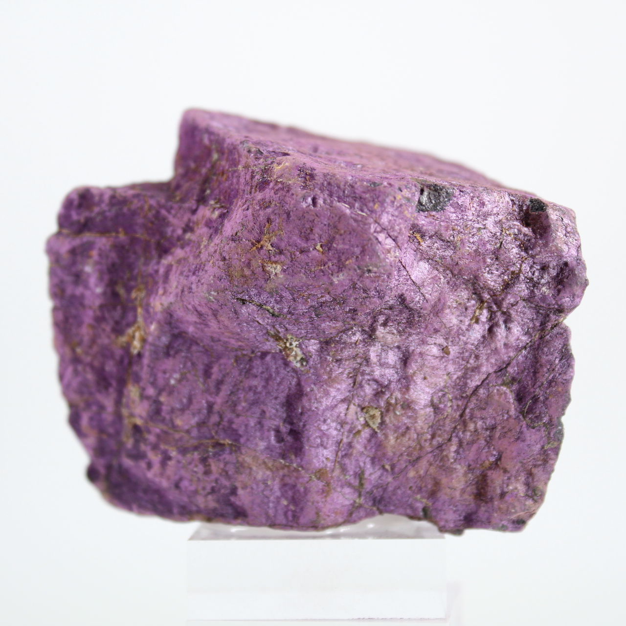 Esemplare di purpurite grezza del Portogallo su base