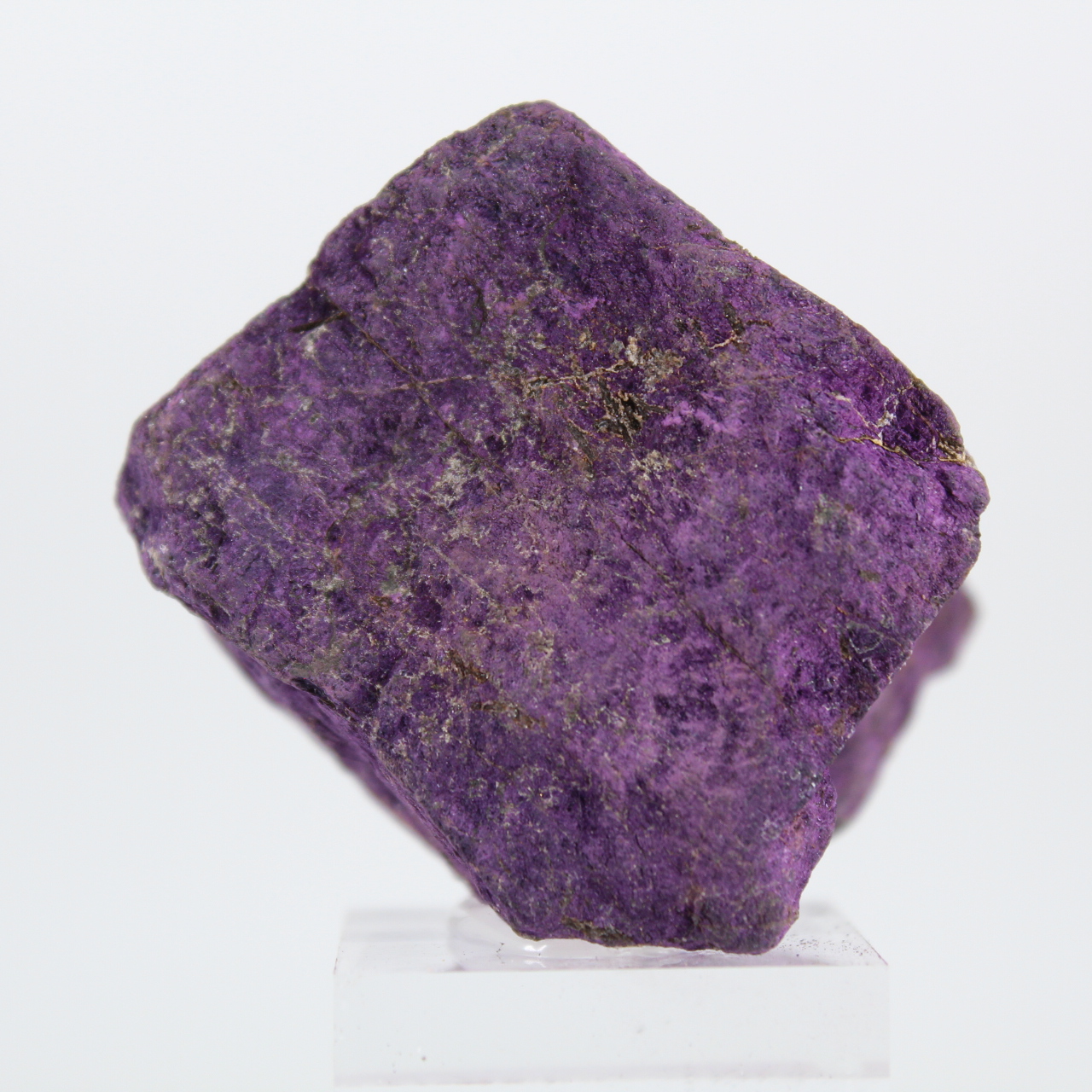Purpurite portoghese grezza montata su base per collezione