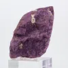Purpurite grezza portoghese – Esemplare mineralogico su base - 3